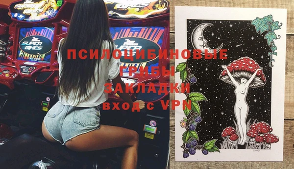 бошки Армянск