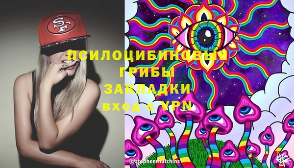 дмт Арсеньев