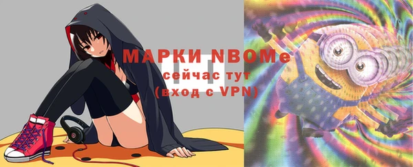 дмт Арсеньев